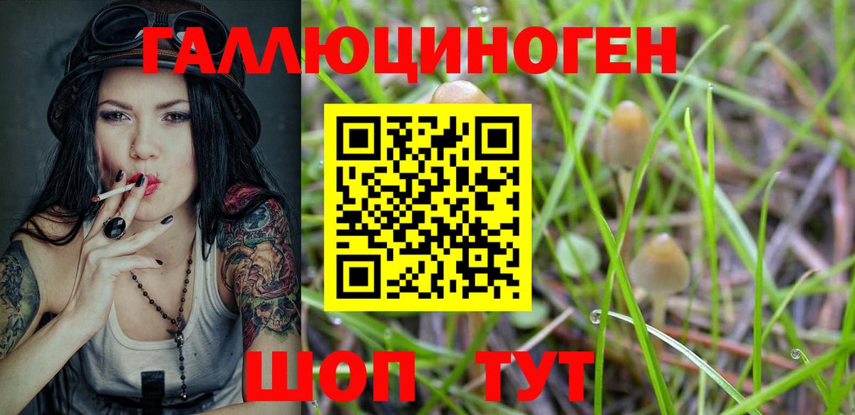 Псилоцибиновые грибы ЛСД Хабаровск