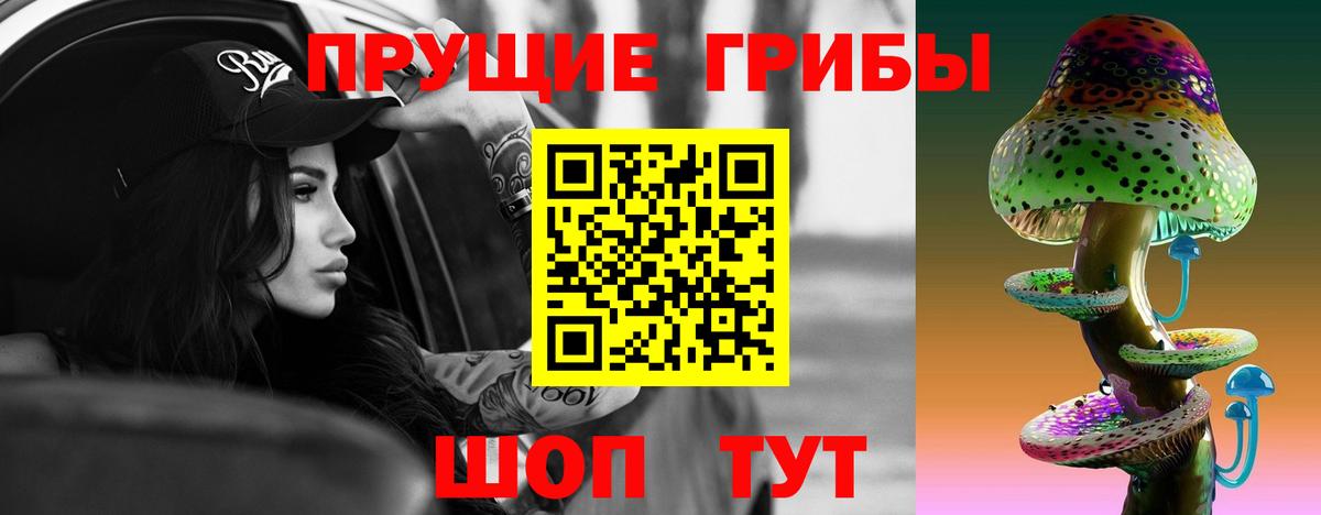 Галлюциногенные грибы прущие грибы  Вход с VPN  Хабаровск  Галлюциногенные грибы GOLDEN TEACHER 